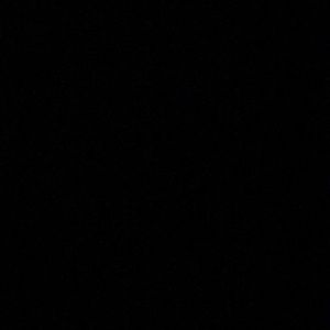 Meet your Posher, Ronald